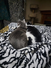 Load image into Gallery viewer, Sanctuary Cats