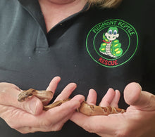 Load image into Gallery viewer, Meals for The Rescue