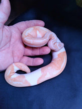 Load image into Gallery viewer, MB030 Albino Pied Ball Python