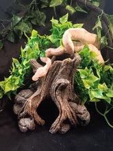 Load image into Gallery viewer, (1)  Banana/Spider Het. Clown Ball Python